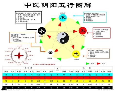 身體五行圖|搞懂中醫五行陰陽論！一張表看懂五行與五臟的關係